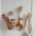 Night Sky Wooden Hooks